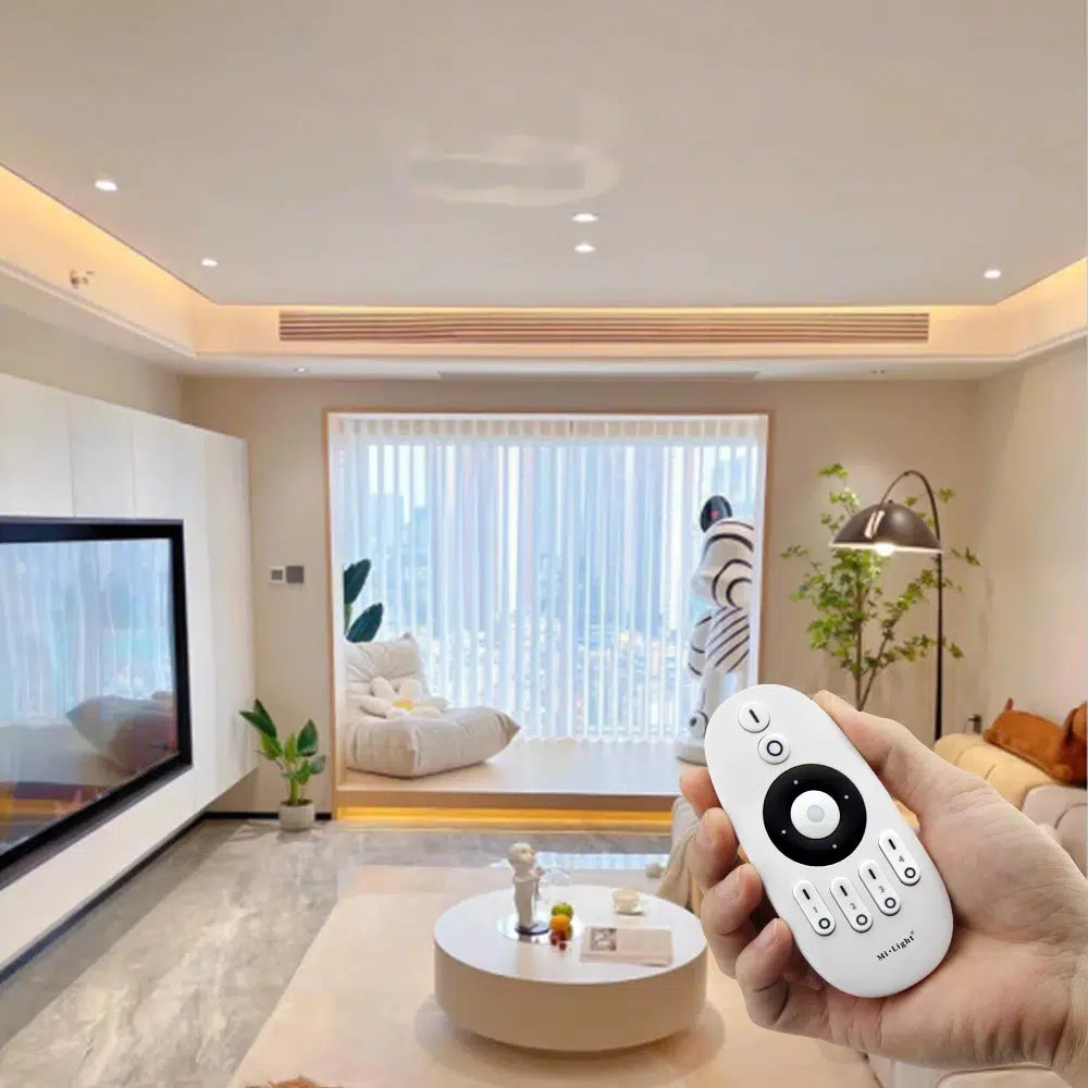 E2-ZR - 2 in 1 LED Controller (Zigbee 3.0 +2.4G)