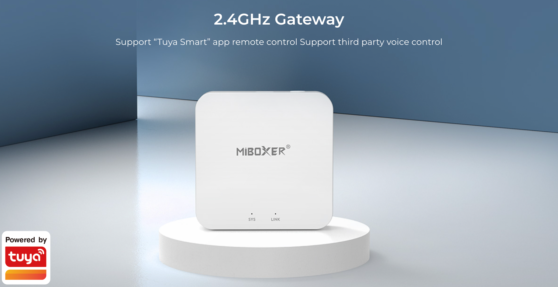 WL-Box2 - 2.4GHz Gateway